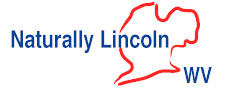 Lincoln County - Lincoln County Economic Development Authority
